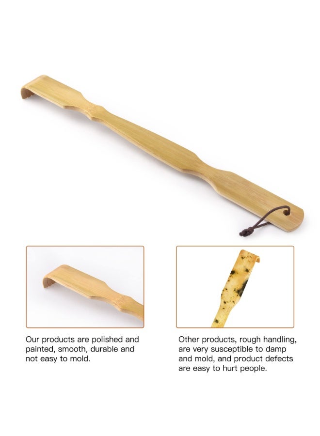 الخيزران الخردان الخردان الخردان الخردان الخردان الخردان الخردان الخردان الخردان الخردان الخردان الخردان الخردان الخردان الخردان الخردان الخردان الخردان الخردان الخردان الخردان الخردان الخردان الخردان الخردان الخردان الخردان الخردان - Image 1